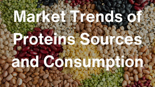 Market Trends of Proteins Sources and Consumption: 3 Main Factors