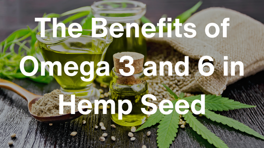 Omega 3 and 6 in Hemp Seed: 4 Major Benefits