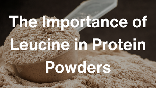 Is Leucine in Plant Protein Powders? Plus 4 Benefits