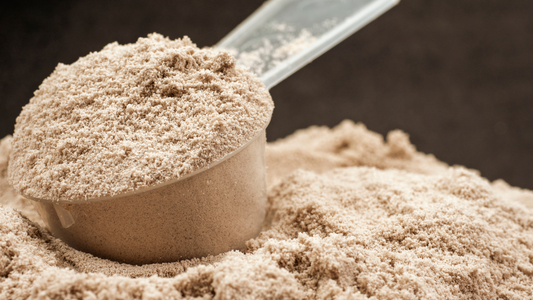 Hemp protein vs other protein powders: Which is right for you?