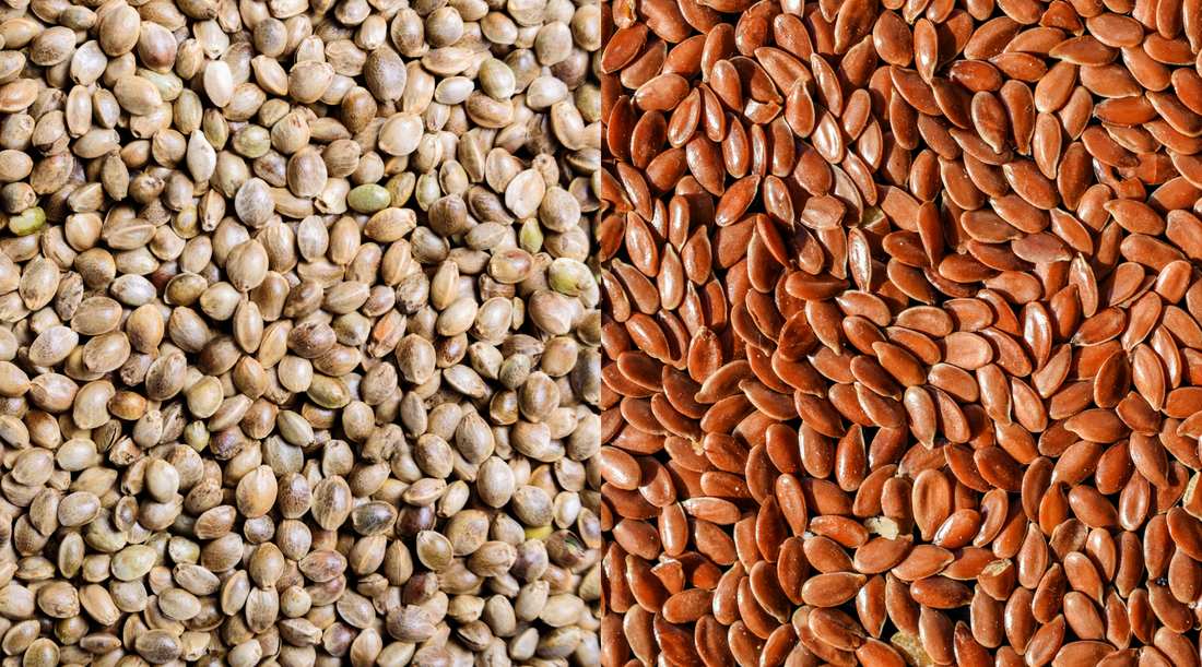 Hemp Protein vs. Flax Protein: Which Is the Best Plant-Based Protein Powder?
