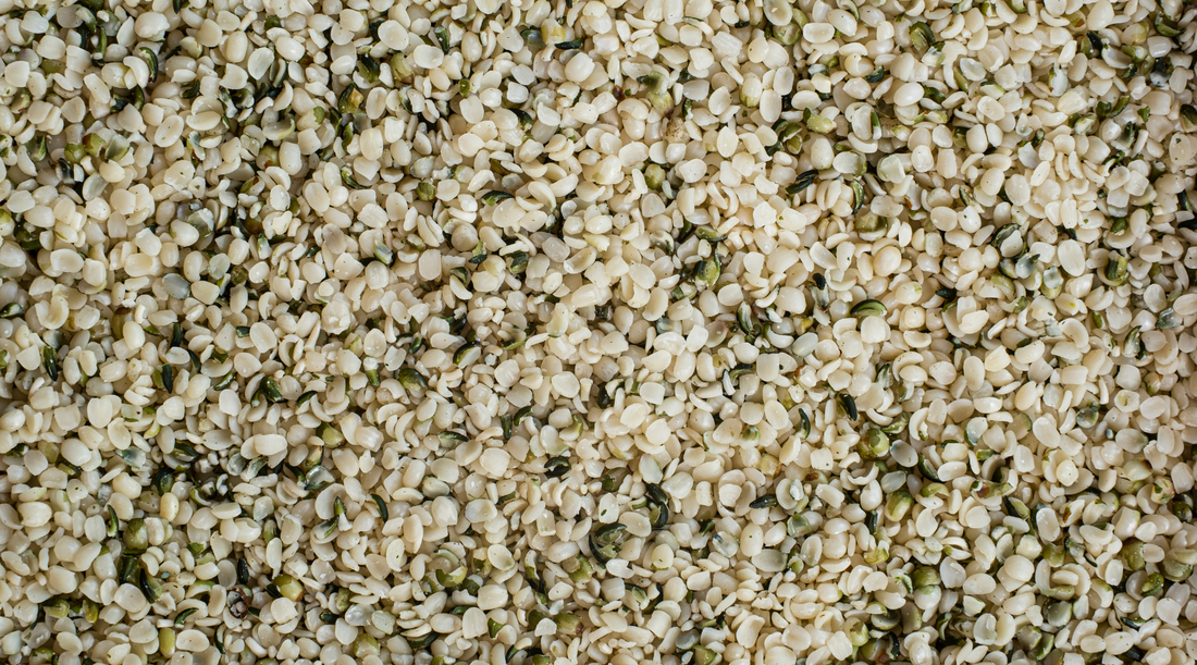 Hemp Protein Isolate: The Highest Protein Plant Protein