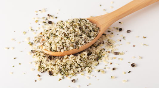 What is Hemp Protein? The Best Plant Protein in the World