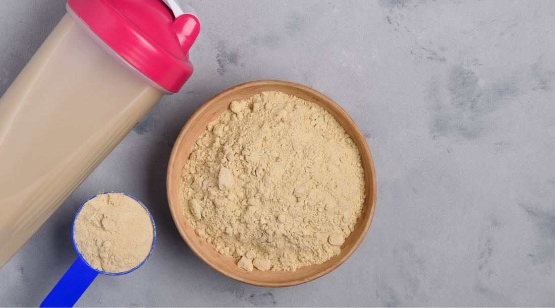 Hemp Protein Powder Benefits: What You Need to Know
