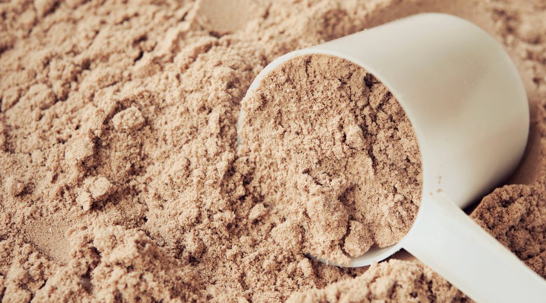 Hemp Protein: The Bloating-Free Plant Protein