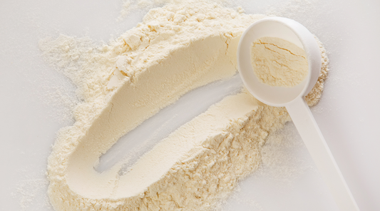 Hemp Protein: The Gluten-Free Protein Powder