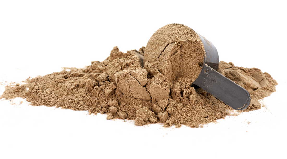 Why You Should Consume Hemp Protein Powder: 7 Benefits