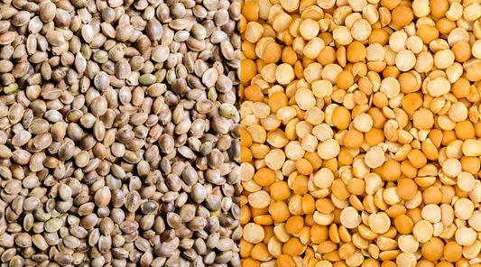 Hemp Protein vs. Pea Protein: Which is Better?
