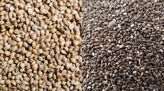 Hemp Protein vs. Chia Protein: Which is Better?